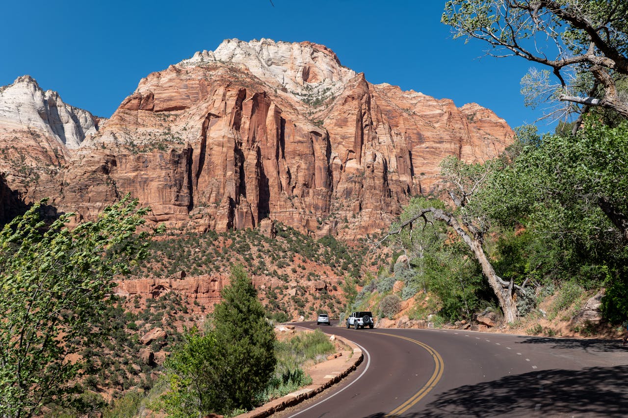 services-02 Captivating view of Zion National Park's towering red cliffs along a winding road under a clear blue sky.