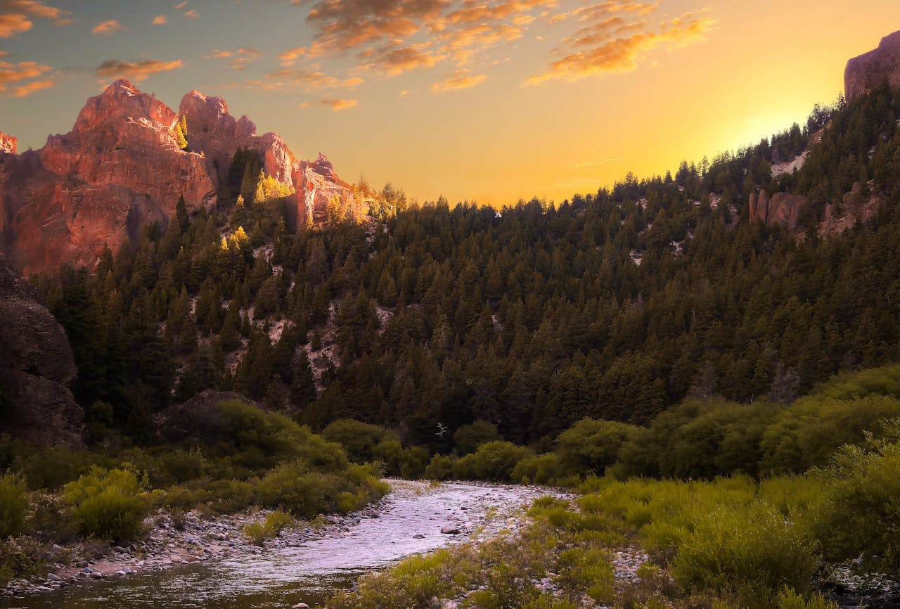 services-04 Beautiful sunset view over Zion's rocky mountains and lush forest scenery.